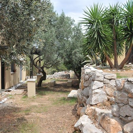 Melolia Estate Apartamento Thebes Quarto foto