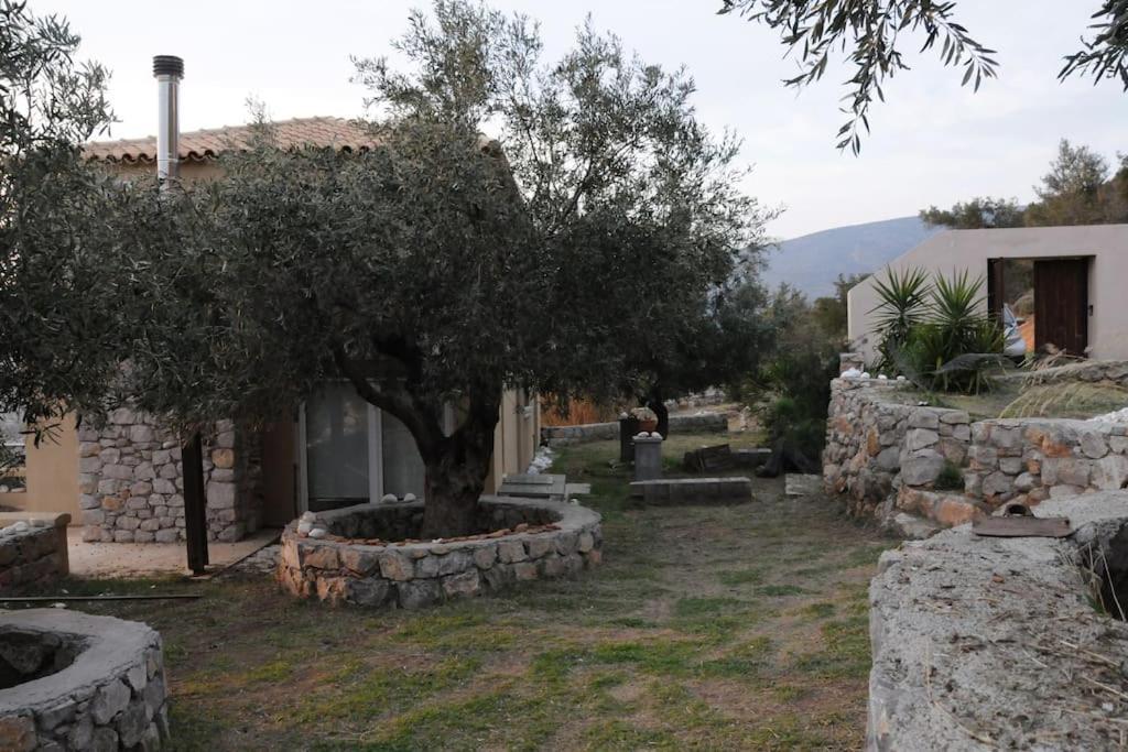 Melolia Estate Apartamento Thebes Quarto foto